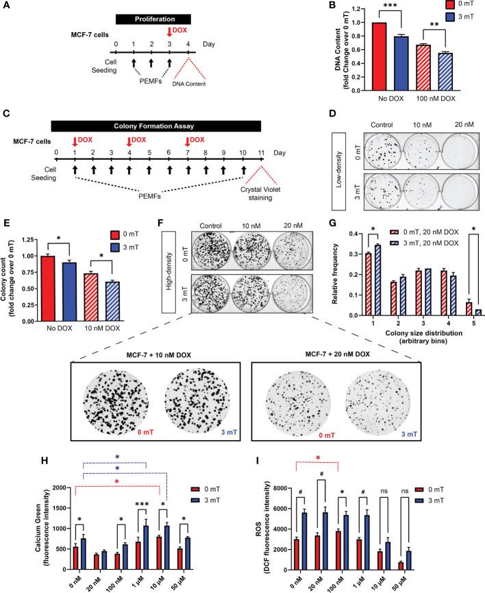 https://cdn.ncbi.nlm.nih.gov/pmc/blobs/1ace/8818958/277510aa4c06/fonc-11-783803-g004.jpg