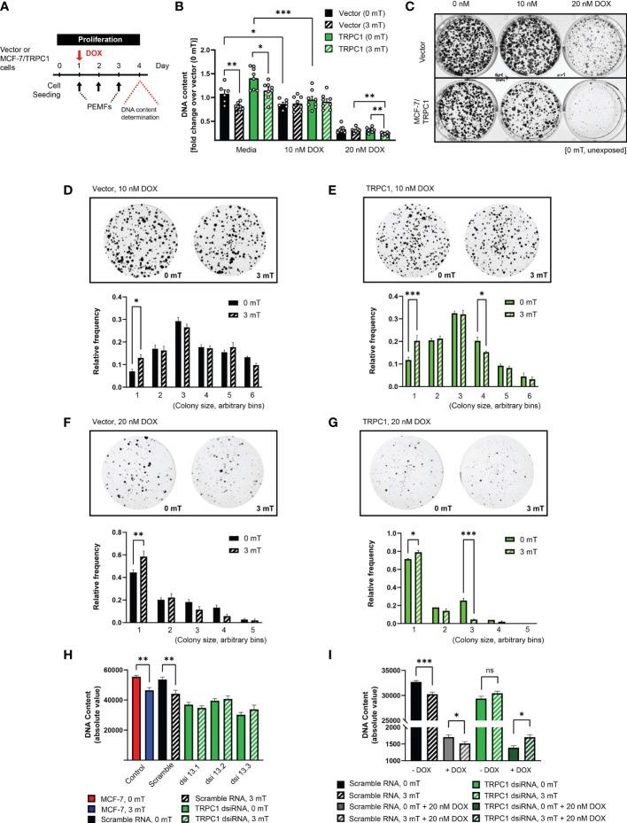 https://cdn.ncbi.nlm.nih.gov/pmc/blobs/1ace/8818958/27e72e19bc00/fonc-11-783803-g008.jpg