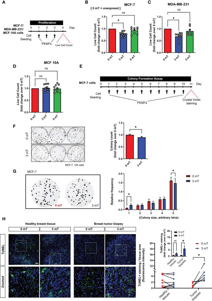 https://cdn.ncbi.nlm.nih.gov/pmc/blobs/1ace/8818958/7176cfff628d/fonc-11-783803-g003.jpg