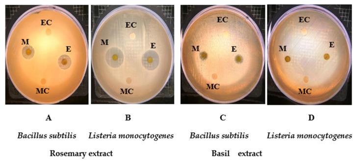 https://cdn.ncbi.nlm.nih.gov/pmc/blobs/1acf/8658947/2334f65fa962/molecules-26-07373-g001.jpg