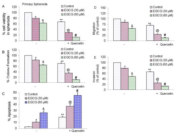 https://cdn.ncbi.nlm.nih.gov/pmc/blobs/1ad0/2933702/554cd1d9d1f0/1750-2187-5-14-7.jpg