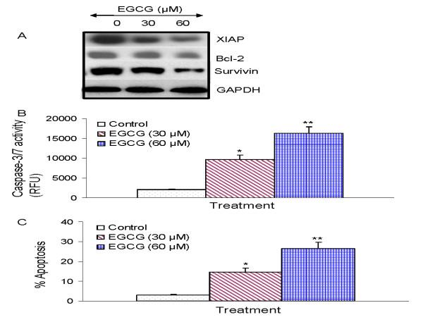 https://cdn.ncbi.nlm.nih.gov/pmc/blobs/1ad0/2933702/cb8dd1c466a9/1750-2187-5-14-5.jpg