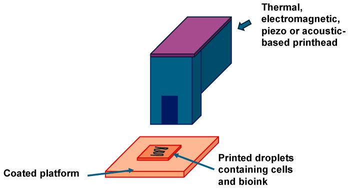 https://cdn.ncbi.nlm.nih.gov/pmc/blobs/1ad4/11476109/b14c490f5cf5/cells-13-01638-g002.jpg