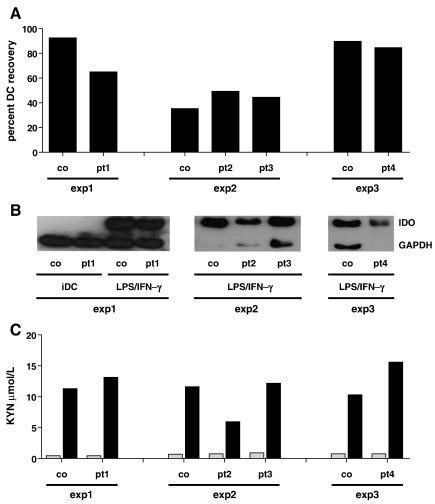 https://cdn.ncbi.nlm.nih.gov/pmc/blobs/1ad7/2946558/0799ce31f9e8/gr1.jpg