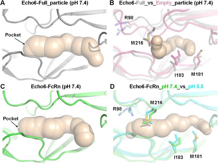 https://cdn.ncbi.nlm.nih.gov/pmc/blobs/1ad7/7111318/8400bfa3a639/figs6_lrg.jpg