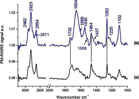 https://cdn.ncbi.nlm.nih.gov/pmc/blobs/1ad9/4384722/cd5dba579b6d/13568_2014_91_Fig6_HTML.jpg