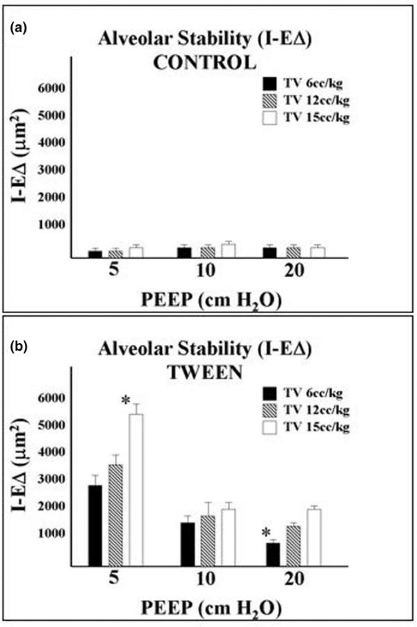https://cdn.ncbi.nlm.nih.gov/pmc/blobs/1ade/2151879/00e14cd3f749/cc5695-2.jpg