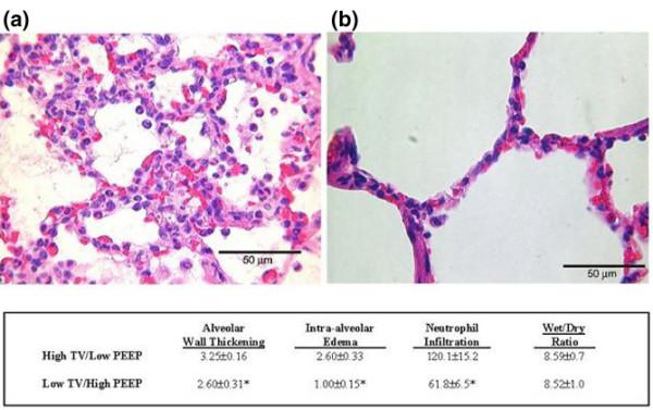 https://cdn.ncbi.nlm.nih.gov/pmc/blobs/1ade/2151879/6d93350709da/cc5695-4.jpg