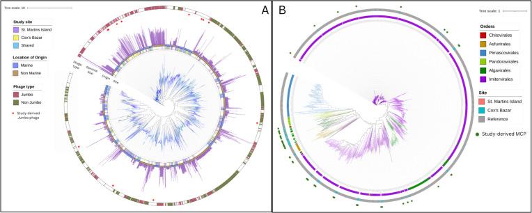 https://cdn.ncbi.nlm.nih.gov/pmc/blobs/1ae0/10732071/385a87c48958/msphere.00407-23.f005.jpg