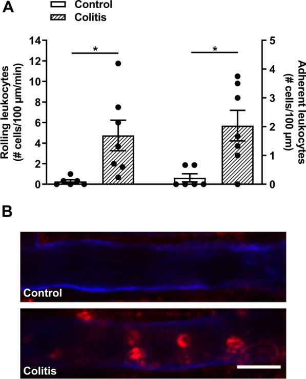 https://cdn.ncbi.nlm.nih.gov/pmc/blobs/1ae1/8981853/7c59844bfbb0/12974_2022_2431_Fig2_HTML.jpg