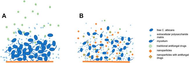 https://cdn.ncbi.nlm.nih.gov/pmc/blobs/1ae2/8733329/3d9bccada72c/fchem-09-813973-g002.jpg