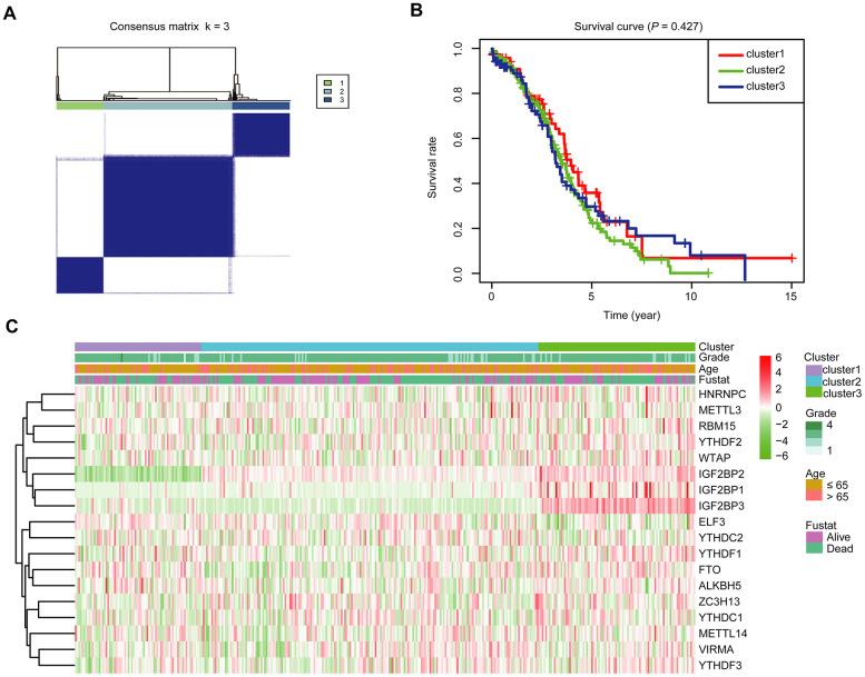 https://cdn.ncbi.nlm.nih.gov/pmc/blobs/1ae3/7585096/108084069c46/aging-12-103811-g003.jpg