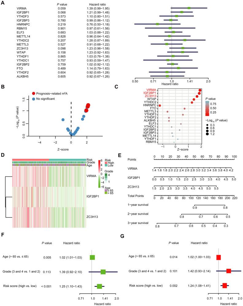 https://cdn.ncbi.nlm.nih.gov/pmc/blobs/1ae3/7585096/7de4593d9319/aging-12-103811-g005.jpg