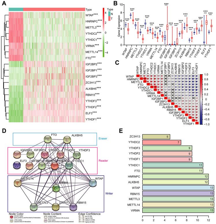 https://cdn.ncbi.nlm.nih.gov/pmc/blobs/1ae3/7585096/f4950bd582af/aging-12-103811-g002.jpg