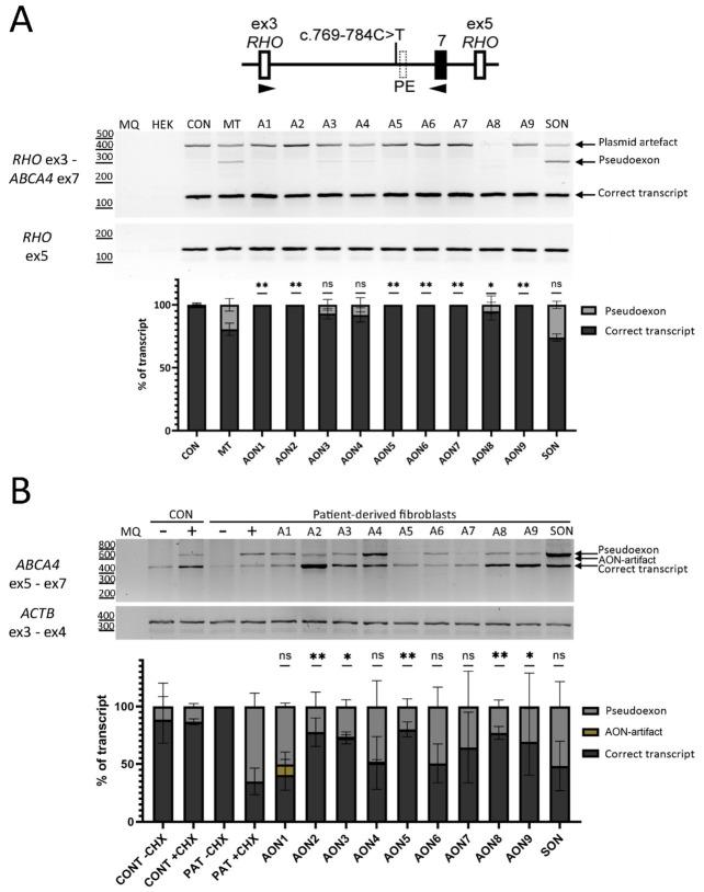 https://cdn.ncbi.nlm.nih.gov/pmc/blobs/1ae3/9777113/32943465f290/cells-11-03947-g002.jpg