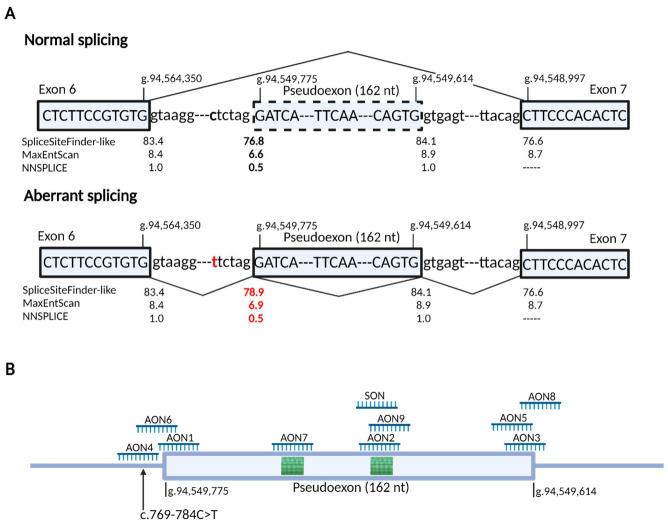 https://cdn.ncbi.nlm.nih.gov/pmc/blobs/1ae3/9777113/65ac1fd73b75/cells-11-03947-g001.jpg