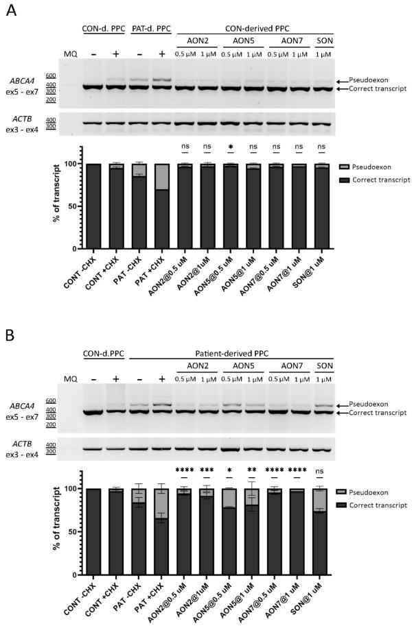 https://cdn.ncbi.nlm.nih.gov/pmc/blobs/1ae3/9777113/cd9534d9ab4a/cells-11-03947-g003.jpg