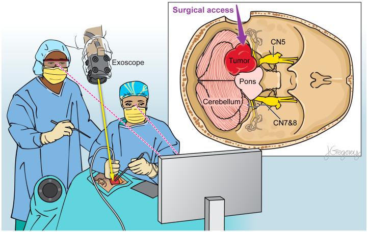 https://cdn.ncbi.nlm.nih.gov/pmc/blobs/1ae4/10571802/41014edecc69/cancers-15-04890-g002.jpg