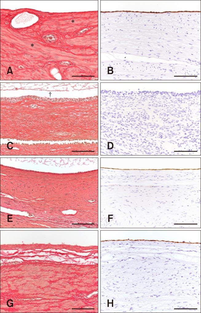 https://cdn.ncbi.nlm.nih.gov/pmc/blobs/1ae4/6265583/1a9fb481b8e8/jvs-19-725-g002.jpg