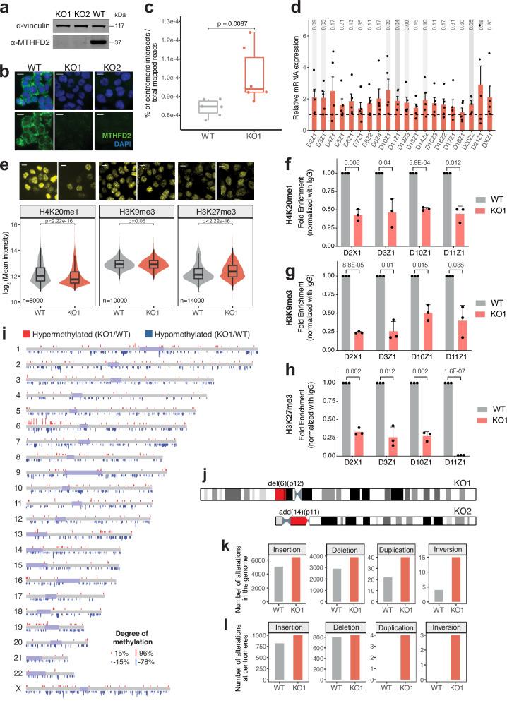 https://cdn.ncbi.nlm.nih.gov/pmc/blobs/1ae5/11557897/3afdddd9d93d/41467_2024_51847_Fig4_HTML.jpg
