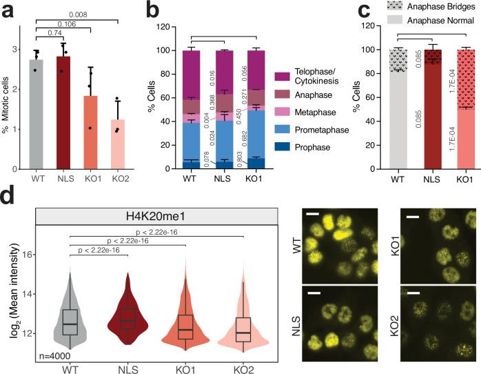 https://cdn.ncbi.nlm.nih.gov/pmc/blobs/1ae5/11557897/abf0675ac1c7/41467_2024_51847_Fig6_HTML.jpg