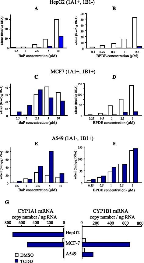 https://cdn.ncbi.nlm.nih.gov/pmc/blobs/1ae5/5385587/7ff87343c7c7/41021_2017_76_Fig2_HTML.jpg