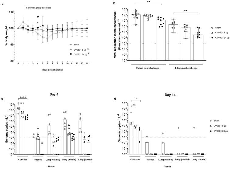 https://cdn.ncbi.nlm.nih.gov/pmc/blobs/1ae5/9965737/27cb007f7f84/vaccines-11-00318-g006.jpg