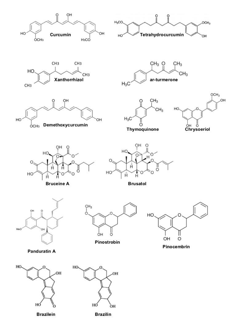 https://cdn.ncbi.nlm.nih.gov/pmc/blobs/1ae7/6664113/00c55612663b/apb-9-219-g001.jpg