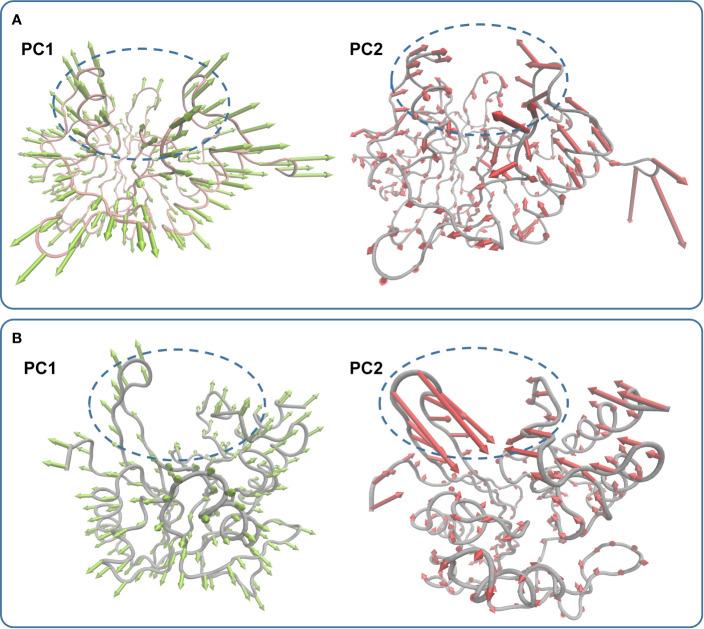 https://cdn.ncbi.nlm.nih.gov/pmc/blobs/1ae8/7566295/adbe0a032ebd/fphar-11-581001-g007.jpg