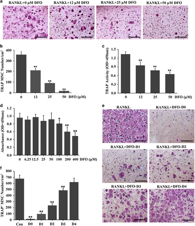 https://cdn.ncbi.nlm.nih.gov/pmc/blobs/1ae9/5133998/3a67b3e8816c/cddis2016339f3.jpg