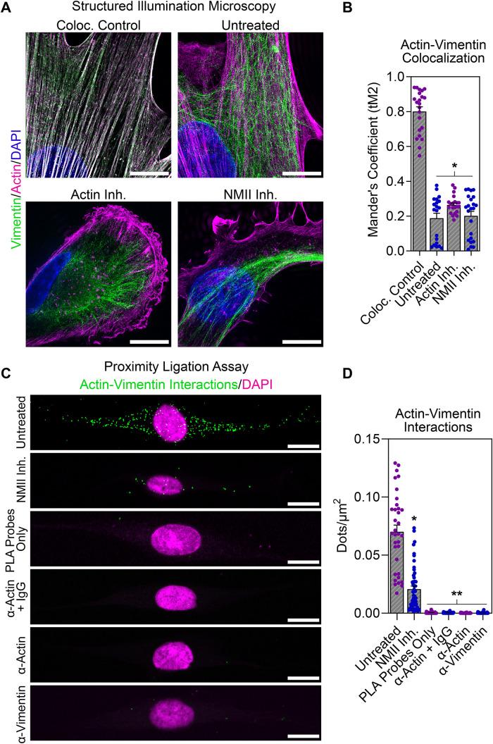 https://cdn.ncbi.nlm.nih.gov/pmc/blobs/1ae9/9635290/6c249972a0b1/mbc-33-ar104-g001.jpg