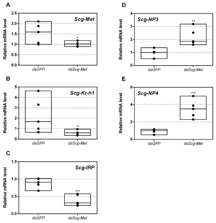 https://cdn.ncbi.nlm.nih.gov/pmc/blobs/1aea/7915749/2b187564f1e4/biomolecules-11-00244-g001.jpg