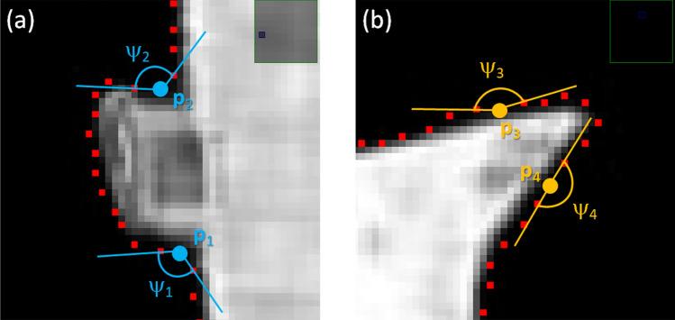 https://cdn.ncbi.nlm.nih.gov/pmc/blobs/1aea/7969941/6281806a2789/41598_2021_85436_Fig4_HTML.jpg