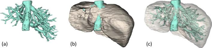 https://cdn.ncbi.nlm.nih.gov/pmc/blobs/1aea/7969941/c270816de533/41598_2021_85436_Fig14_HTML.jpg