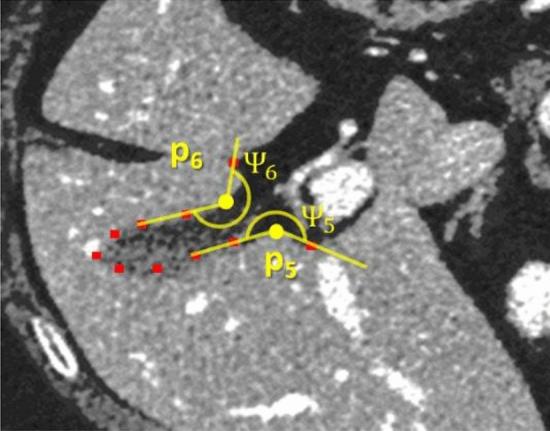 https://cdn.ncbi.nlm.nih.gov/pmc/blobs/1aea/7969941/cd2b2cf07cde/41598_2021_85436_Fig5_HTML.jpg