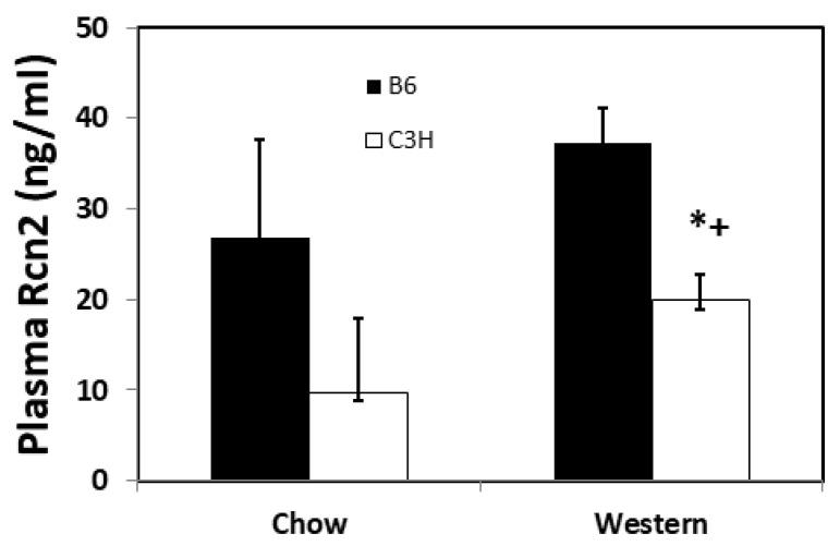 https://cdn.ncbi.nlm.nih.gov/pmc/blobs/1aea/8997427/3570496292e1/cells-11-01107-g003.jpg