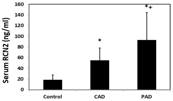 https://cdn.ncbi.nlm.nih.gov/pmc/blobs/1aea/8997427/47c961531fa3/cells-11-01107-g004.jpg