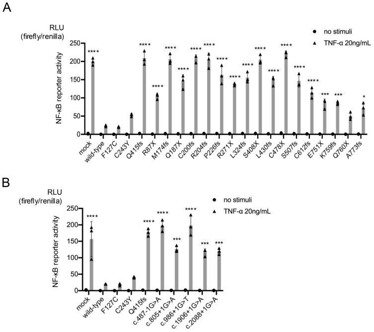https://cdn.ncbi.nlm.nih.gov/pmc/blobs/1aec/12197945/c16a688d6482/fimmu-16-1548042-g002.jpg