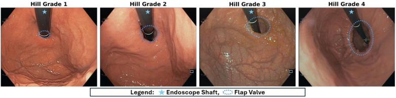 https://cdn.ncbi.nlm.nih.gov/pmc/blobs/1aee/11322637/1f9f948fdc5c/41598_2024_68866_Fig1_HTML.jpg