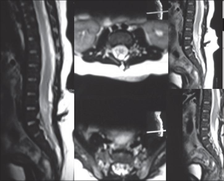 https://cdn.ncbi.nlm.nih.gov/pmc/blobs/1aee/5588652/a3d2de56798d/JPN-12-192-g001.jpg