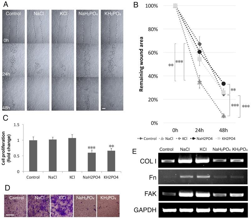 https://cdn.ncbi.nlm.nih.gov/pmc/blobs/1aef/4956236/bac492147ff3/pone.0159843.g006.jpg