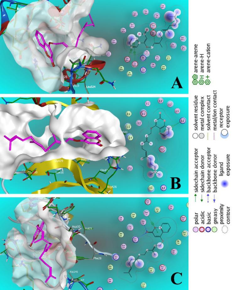 https://cdn.ncbi.nlm.nih.gov/pmc/blobs/1af3/12089437/9f443f90b38b/41598_2025_2344_Fig9_HTML.jpg