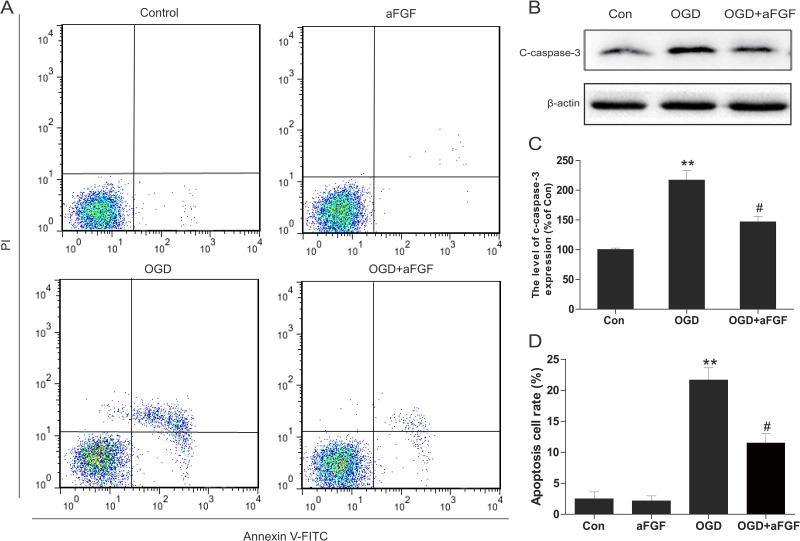 https://cdn.ncbi.nlm.nih.gov/pmc/blobs/1af7/5617396/e4c1dcbe3d79/oncotarget-08-60941-g007.jpg