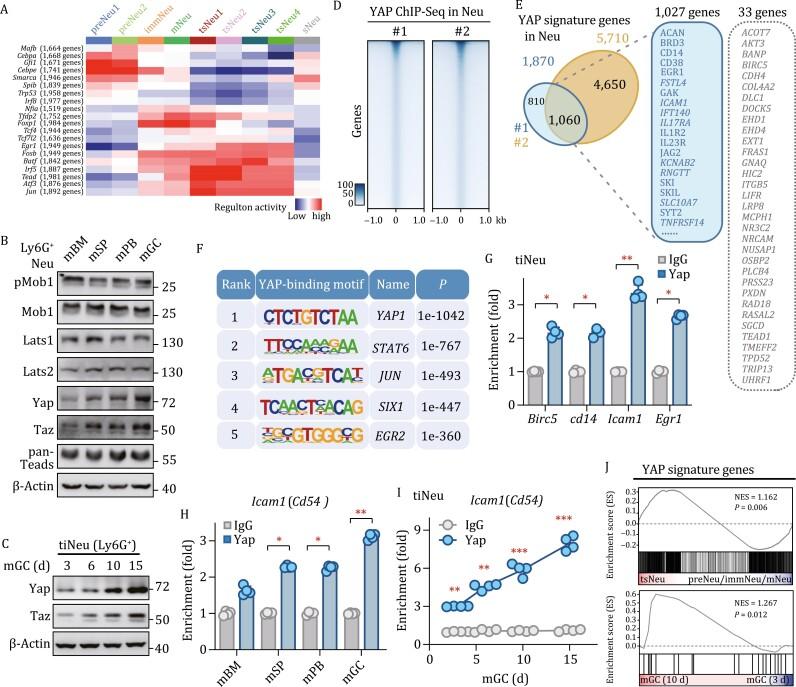 https://cdn.ncbi.nlm.nih.gov/pmc/blobs/1af9/10305741/2add4930c929/pwac045_fig4.jpg