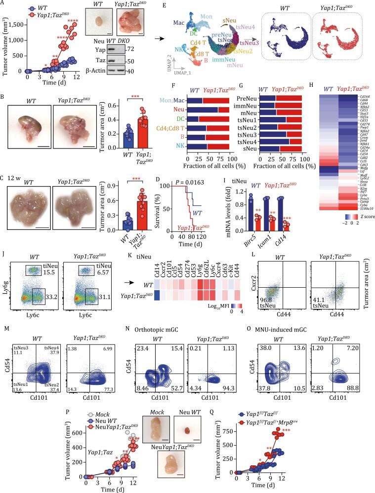https://cdn.ncbi.nlm.nih.gov/pmc/blobs/1af9/10305741/8e43849265fe/pwac045_fig5.jpg