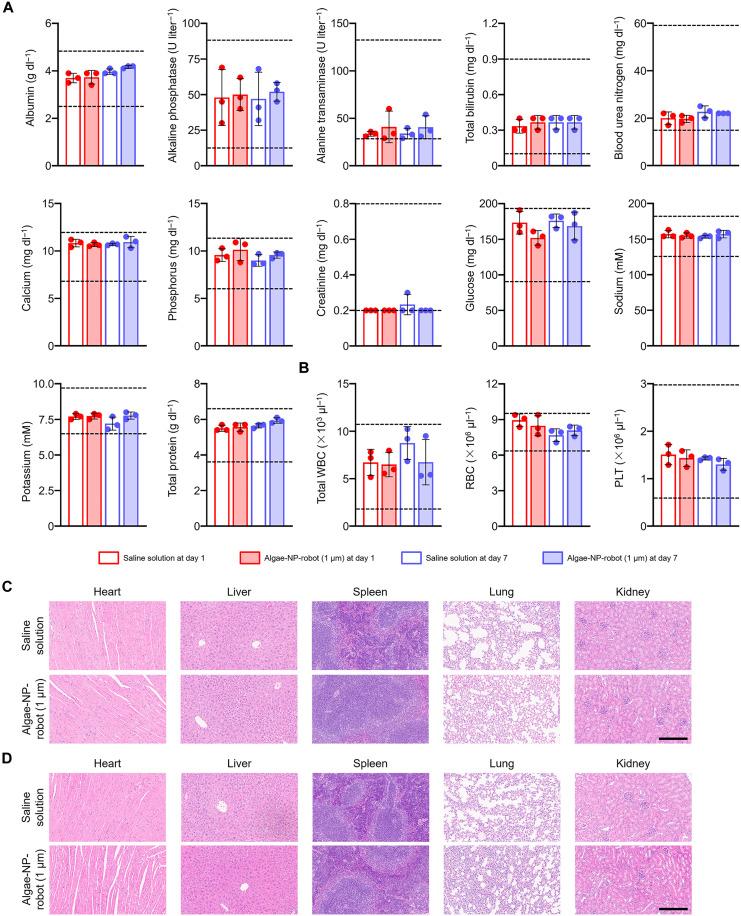 https://cdn.ncbi.nlm.nih.gov/pmc/blobs/1afb/12248282/102a3a7308cb/sciadv.adw8578-f6.jpg