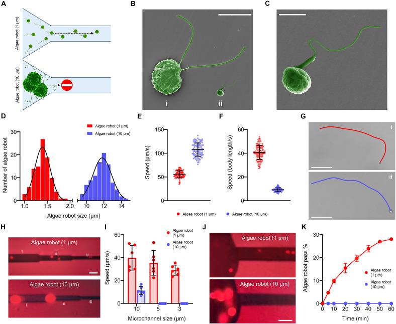 https://cdn.ncbi.nlm.nih.gov/pmc/blobs/1afb/12248282/59e4c8e7d26f/sciadv.adw8578-f2.jpg