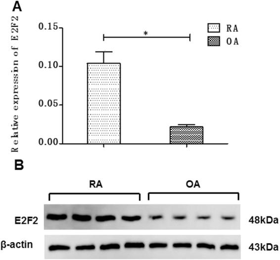 https://cdn.ncbi.nlm.nih.gov/pmc/blobs/1afb/5805761/c4de61f15af6/41598_2018_20782_Fig1_HTML.jpg