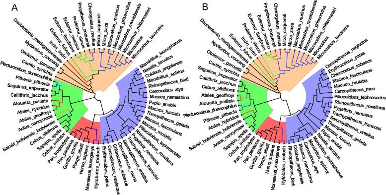 https://cdn.ncbi.nlm.nih.gov/pmc/blobs/1afe/10594854/ba5038d29b24/12864_2023_9747_Fig3_HTML.jpg