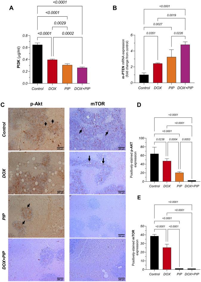 https://cdn.ncbi.nlm.nih.gov/pmc/blobs/1aff/11303729/16b0a1ca8d78/41598_2024_65508_Fig8_HTML.jpg